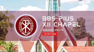 pius xii altar servers bonang lerato