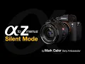 Lagu Sony Alpha Menus A to Z: Silent Mode