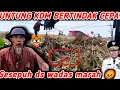 Download Lagu TERUNGKAP‼️HILIR KALI DS WADAS PENUH SAMPAH BAN MOBIL BEKAS, Paraah ‼️UNTUNG KDM CEPAT BERTINDAK