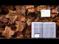Automating Typing Speed Tests with Java Robot Java Automation Tutorial