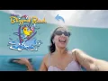 Download Lagu Este parque de DISNEY es GRATIS 😍🥳