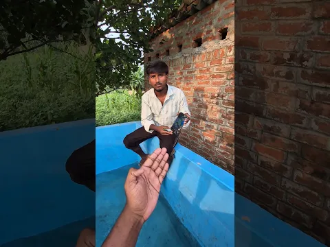 magic ✨️ nahi hua to bhai ne apna monail tanki me fenk diya | #viralvideo #magic #shortvideo