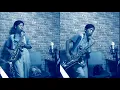 Aladdin - A Whole New World - Alto \u0026 Tenor Saxophone Cover