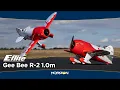 Lagu E-flite Gee Bee R-2 1.0m RC Airplane