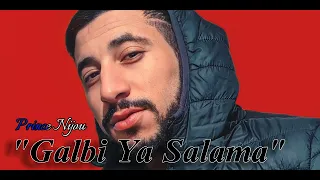 GALBI YA SALAMA Prince Nijou Newrainbow Algerie Raistar Morocco Tunisie Dzpower 