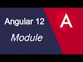 Angular 12 tutorial what is module