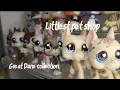 My Lps Great Dane Collection 2025