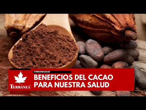 Download MP3 10 Beneficios del CACAO 100% puro para la SALUD | Terránea