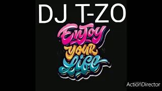 dj t zo remix