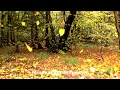 Download Lagu Музыка Для Души ,,ОСЕННИЙ ВАЛЬС,, Музыка Сергей Грищук