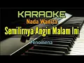 Download Lagu TIADA YANG LAIN / KARAOKE NADA WANITA (Fenomena)