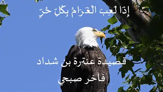 من أجمل ما قال عنترة بن شداد   أداء حماسي بصوت فاخر صبحي دندنها