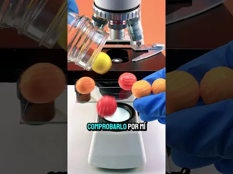 ¿Cómo se ve el chicle bajo el microscopio? 😱🔬