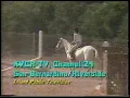 KVCR-TV Channel 24 San Commercial And Bumper - 1989