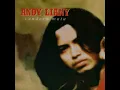 Ingin Rasanya - Andy Liany