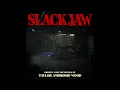 SLACKJAW OST - I ve Been Watching You