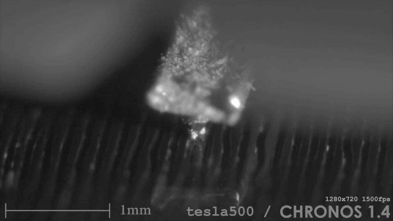 Phonograph needle slow-motion microscopy