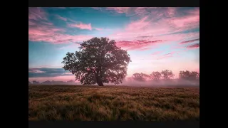 شاهد حصريا  الموسيقى التصويرية الاروع لمسلسل زيزينيا   موسيقى عمار الشريعي         دندنها