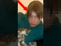 The Internet VS Cat Killer