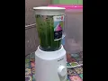 Download Lagu MASKER DAUN KELOR