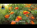 Hearts - KARAOKE VERSION - as popularized by Marty Balin