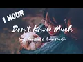 Linda Ronstadt & Aaron Neville - Don't Know Much (1 hour loop)