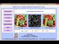 Image Inpainting using Image Processing Matlab project code
