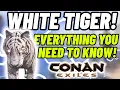 Everything you need to know about the white tiger pet in Conan Exiles