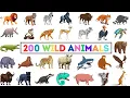 Download Lagu 200 Wild Animals | Learn Animals Name In English With Pictures | Animals Vocabulary In English
