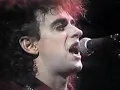 Soda Stereo en Viña del Mar 1987 (Signos)