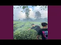 Download Lagu Hanya Ilusi (Remastered 2025)