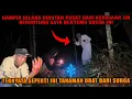 Download Lagu Nekad Kembali Sendirian Menuju Hutan Belantara Di Penuhi Kerajaan Jin Untuk Mencari Tanaman Sakti