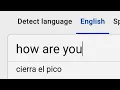 Never Trust Google Translate