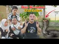 Download Lagu Mata Ibnu Kena semburan Ular Cobra Matannya Merah Hampir Buta