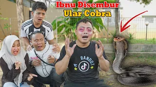 ibnus eyes were sprayed by a cobra snake leaving him red and almost blind