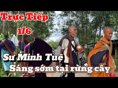 Download MP3 Trực tiếp sáng 1/6: Sư Minh Tuệ sáng sớm tại rừng cây