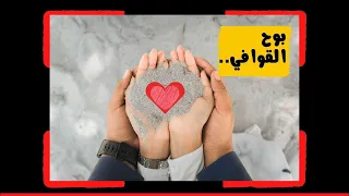 بوح القوافي   ناصر السعيد    إنتاج  فونيتكس دندنها