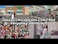 Insane DOLLAR TREE Shopping Adventure In CHICAGO 8 Locations New Beauty Finds 200 Haul
