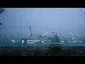 Watch you sleep- girl in red (30 min loop, rainy day background)