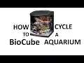 Coralife 32 LED BioCube Aquarium - Video 4 of 3