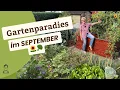 Download Lagu Garden tour at the beginning of September – start of autumn 🌿🍂