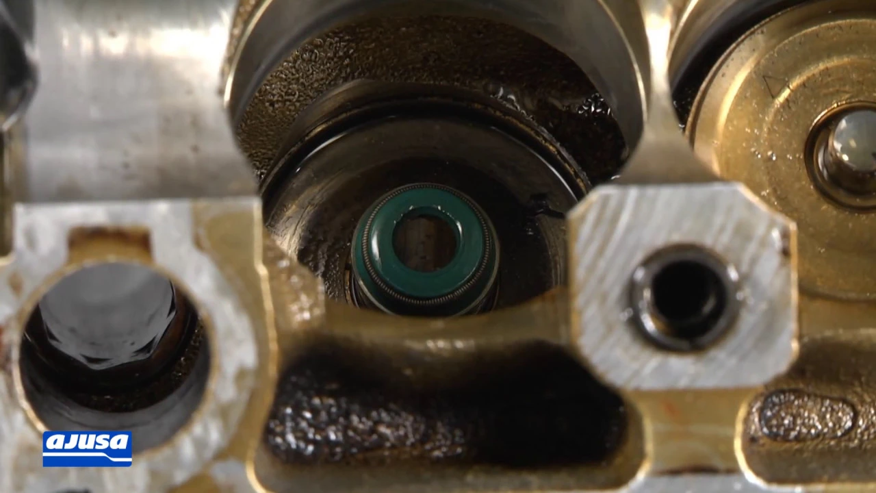 Valve Stem Seal / Retén de Válvula – AUDI TT 1.8T 20V APX .