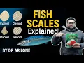 Scales of Fishes Types of scales Fish Scales By Dr AR Lone