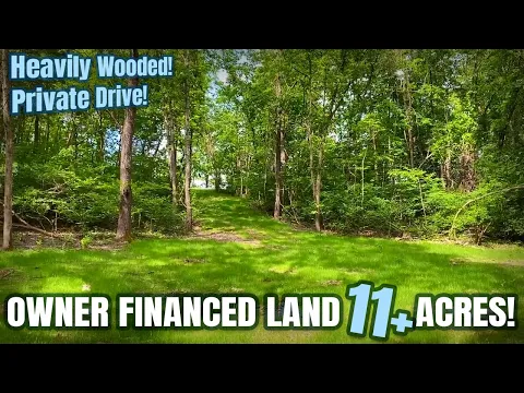 Owner Financed 11.4 Acres at Panther Hollow in the Ozarks! NO Credit Check & Owner Financed! ID#PH26