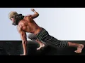 20 Flow Animal Movements