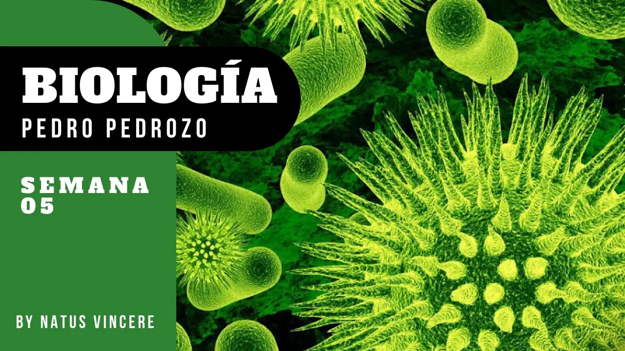 Biologia 5 Fotosintesis y Respiracion Celular - Pedro Pedrozo