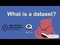 What is a Dataset