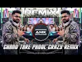 Lagu Chand Tare Phool Dj Remix | Crazy Dance Mix | Tum Se Achcha Kaun Hai | Dj Anik Remix New 2025
