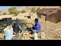 Lagu Elderly Grandma Living Alone in the Mountains A Heartwarming Story of Love, Hard Work \u0026 Survival