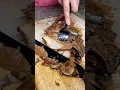 Download Lagu THIS IS HOW TO COOK MEAT #food